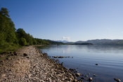 Shoreside Walk