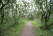 Taynish Nature Reserve